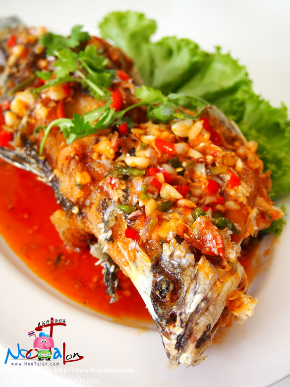 �������躹�ҹẺ�������ҡ�����������͡ (���������ٻ�Ҿ ��ҹ���ūտ�� ʴ���������ͧ��ا - ˹ٵ��͹)