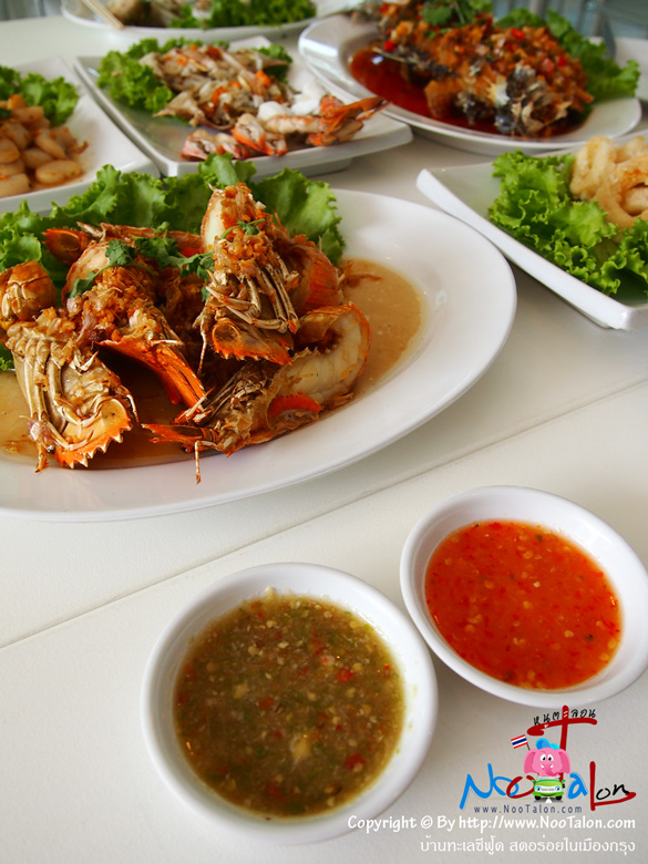 �Ҵ�������¡Ѻ��Ө����տ�� (���������ٻ�Ҿ ��ҹ���ūտ�� ʴ���������ͧ��ا - ˹ٵ��͹)