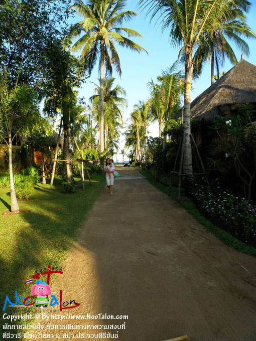 �ҧ�Թ�����������繾�鹷��µç�֡���件֧��ҹ� �������ҧ�ͧ�����������ҧ��Ѻ ���֡�ҡ (���������ٻ�Ҿ �ѡ���ʺ��� �Ѻ����Թ�ҧ�Ҥ���ʧ���� �������� ��䫴� ������ & ʻ� ��ШǺ���բѹ�� - ˹ٵ��͹)