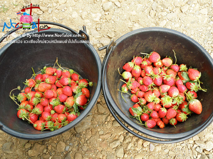 �纵�駹ҹ�������� �ѡ 2 ������ ��Ѻ�֧��ҹ�����Թ���� �õѴ��Ѻ�ҵ�ͧ���Ը����ѡ������� �Ф�Ѻ (���������ٻ�Ҿ ʵͷ������ԧ �����§����ǹ���Ᾱ������ʵ������ѹ��� - ˹ٵ��͹)