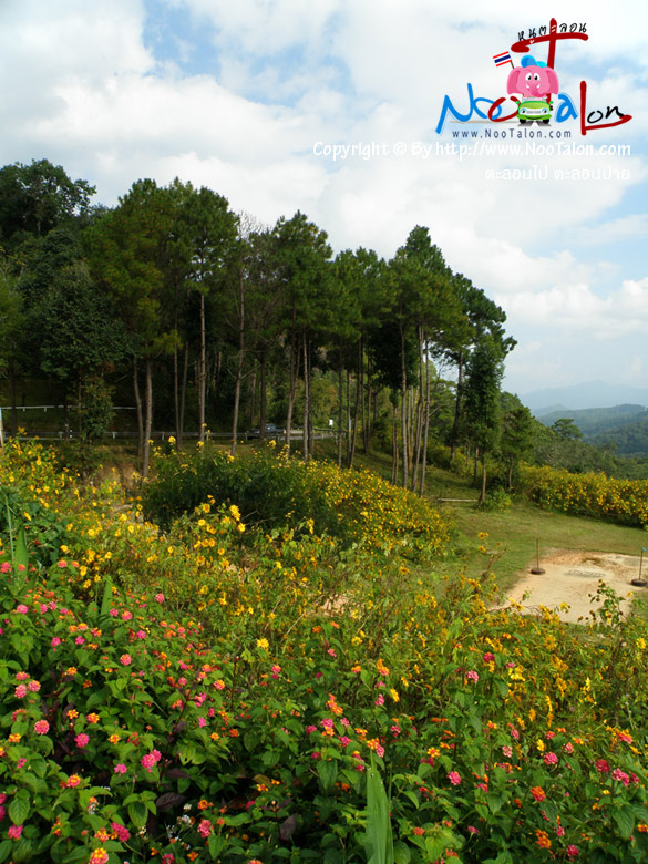 �ͺ� ����ǳ���մ͡��ǵͧ���������� �֧�����Ҩ�����ҡ��ҷ�觺�ǵͧ���������٤� ������Ѵ������ (���������ٻ�Ҿ ���͹� ���͹��� - ˹ٵ��͹)
