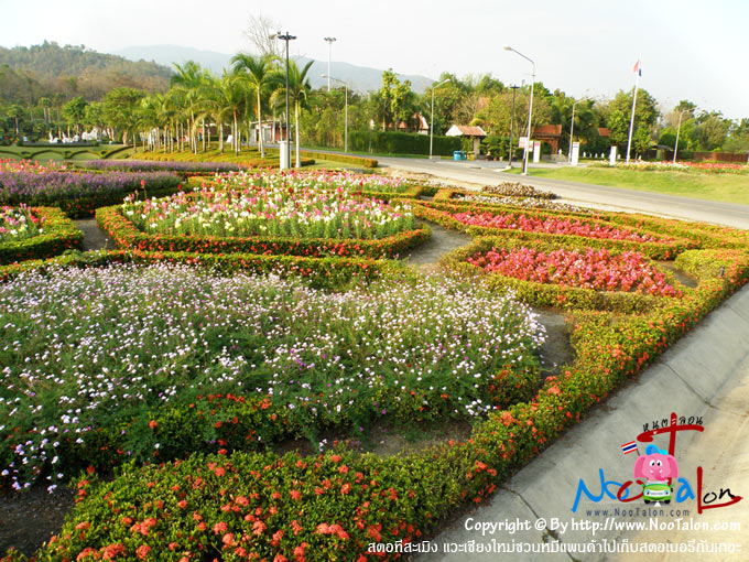 �ŧ�͡����������ѹ (���������ٻ�Ҿ ʵͷ������ԧ �����§����ǹ���Ᾱ������ʵ������ѹ��� - ˹ٵ��͹)