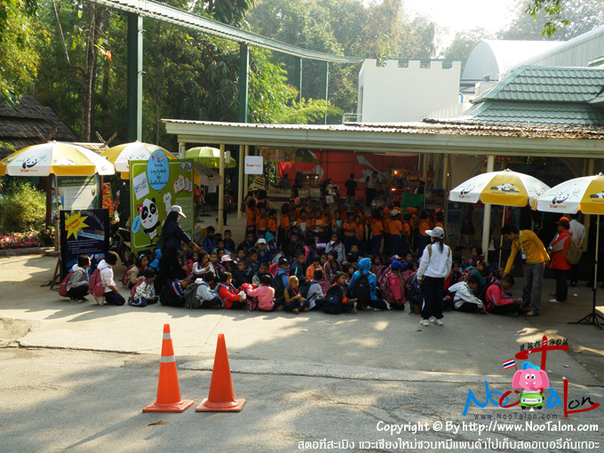 ��� �ҹ������Ҵ����Ᾱ��� (���������ٻ�Ҿ ʵͷ������ԧ �����§����ǹ���Ᾱ������ʵ������ѹ��� - ˹ٵ��͹)