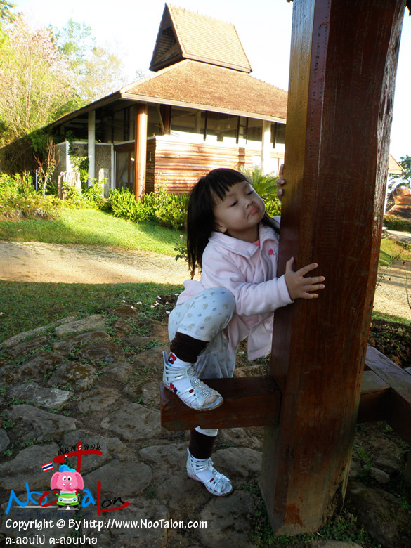 �ٷ�˹������� (���������ٻ�Ҿ ���͹� ���͹��� - ˹ٵ��͹)