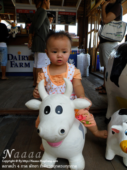 �����Ң������駴�맺�ҧ&nbsp;