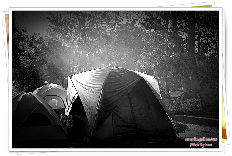 &nbsp;�׹�á�ҧ�鹷������˭� ������������ҧ���Դ ��������·�����
�׹��� �鹷������§����蹹�觤�¡ѹ�ѹ�� 2 �� 3 ���Թ仺͡�͡�͡��ҡ��ѧ�й͹����͹�ѹ �����͡��µ���ա�������
���� ��ҡ�к͡��� ����áѹ��� ��Ǻ�ҹ����������㹻���ѹ��º�Ш��