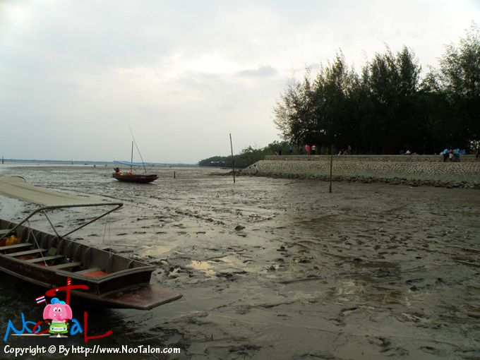 件֧��ӡ��ѧ�������� ����ѧ������