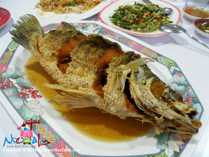 ��ҡ�о��ʹ��ӻ�� ��ͺ�ҡ

��ҹᴧ����÷��� ������ʪҵ������Ѻ �Ҥҡ����֧�Ѻᾧ���Թ� ��������觵�ͧ���ѧ�ѡ˹��� ����¡��Ẻ���٨ӹǹ����� ��仡ѹ 3 �� �������١ ¡�����Шҹ�˭�� ��駹�� �չз������Ẻ���� ��� ������������ا��Ѻ��ҹ ⪤�շ��͹�Դ�Թ �����������֧ �Ҥ�Ẻ�Ѻ�� �͹�á���������ͧ�Ҥ���������͹�ѹ �������������������ҤҺ͡��Ѻ

����ҡѹ�����Ҿ�����¤�Ѻ