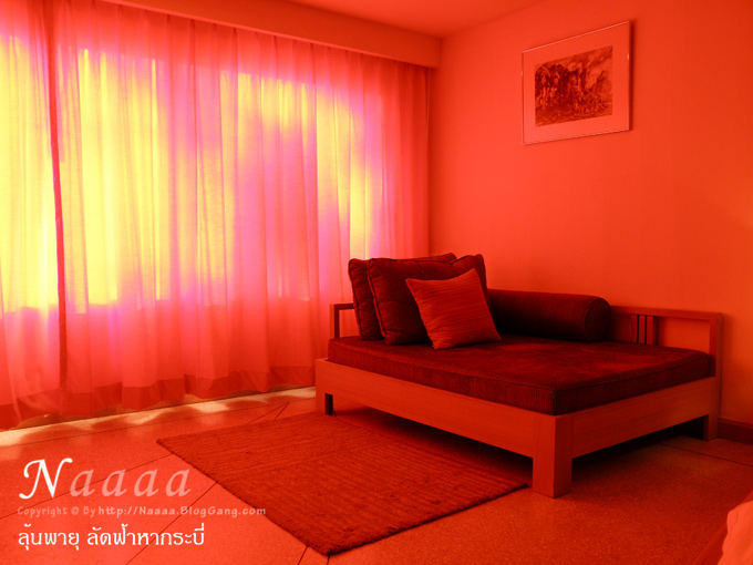 �� Day Bed ���͹�͹����������˹�ҵ�ҧ