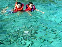��������� ������� By speed boat
08.00�.&nbsp;&nbsp;&nbsp;&nbsp;&nbsp;&nbsp;&nbsp;&nbsp;&nbsp;&nbsp;&nbsp; �Ѻ�ҡ���ѡ㹨ѧ��Ѵ����
09.00�.&nbsp;&nbsp;&nbsp;&nbsp;&nbsp;&nbsp;&nbsp;&nbsp;&nbsp;&nbsp;&nbsp; �����͡�ҡ������� ���˹������������ ��������Ҫ�
09.30�.&nbsp;&nbsp;&nbsp;&nbsp;&nbsp;&nbsp;&nbsp;&nbsp;&nbsp;&nbsp;&nbsp; ���Ͷ֧������� ���ǻе�&nbsp; �Ӽ�ǹ��&nbsp; ���;ѡ��͹����Ѹ�����
11.00�.&nbsp;&nbsp;&nbsp;&nbsp;&nbsp;&nbsp;&nbsp;&nbsp;&nbsp;&nbsp;&nbsp; �����͡�Թ�ҧ��������� �ӷ�ҹ仴ӹ�� �����ʽ٧�����§���ҡ�����ǡ��������Ѻ��ҹ ��蹹�� Snorkelling 
11.45�. �ӹ�ӷ�����Ǥ͹�&nbsp; ���觻С��ѧ����� �������á�&nbsp; ��н٧�����§���� 檹Դ
12.30�.&nbsp;&nbsp;&nbsp;&nbsp;&nbsp;&nbsp;&nbsp;&nbsp;&nbsp;&nbsp;&nbsp; ���͡�Ѻ�֧���ǻе�&nbsp; �Ѻ��зҹ����á�ҧ�ѹ&nbsp; ��ѧ�Ѻ��зҹ����� ����������ҹ��͹����&nbsp; �ѡ��͹����Ѹ����� ������Ҵ��������Ҵ
15.15�.&nbsp;&nbsp;&nbsp;&nbsp;&nbsp;&nbsp;&nbsp;&nbsp;&nbsp;&nbsp;&nbsp; �����Թ�ҧ��Ѻ�ҡ�������
15.45�.&nbsp;&nbsp;&nbsp;&nbsp;&nbsp;&nbsp;&nbsp;&nbsp;&nbsp;&nbsp;&nbsp; �֧�������
16.30�.&nbsp;&nbsp;&nbsp;&nbsp;&nbsp;&nbsp;&nbsp;&nbsp;&nbsp;&nbsp;&nbsp; �ӷ�ҹ��Ѻ���ѡ�����ʴ��Ҿ
�ҤҤ���
����˭��ҹ�� 1,000 �ҷ&nbsp;&nbsp;&nbsp; &nbsp;�硷�ҹ��&nbsp; 800 �ҷ
��Һ�ԡ�����
&middot;&nbsp;&nbsp;&nbsp;&nbsp;&nbsp;&nbsp;&nbsp;&nbsp; ö�Ѻ-�觨ҡ�ç������ѡ(������ͧ����, �Ҵ��ҵͧ, �Ҵ�е�-��ù) �͡�˹�ͨҡ���Դ������ҹ�� 200 �ҷ
&middot;&nbsp;&nbsp;&nbsp;&nbsp;&nbsp;&nbsp;&nbsp;&nbsp; ����á�ҧ�ѹ
&middot;&nbsp;&nbsp;&nbsp;&nbsp;&nbsp;&nbsp;&nbsp;&nbsp; �ػӡó״ӹ�� Snorkelling &nbsp;˹�ҡҡ �������
&middot;&nbsp;&nbsp;&nbsp;&nbsp;&nbsp;&nbsp;&nbsp;&nbsp; ����� ����ͧ����
&middot;&nbsp;&nbsp;&nbsp;&nbsp;&nbsp;&nbsp;&nbsp;&nbsp; �Ѥ���ȡ�������
&middot;&nbsp;&nbsp;&nbsp;&nbsp;&nbsp;&nbsp;&nbsp;&nbsp; ����ͪ٪վ
&middot;&nbsp;&nbsp;&nbsp;&nbsp;&nbsp;&nbsp;&nbsp;&nbsp; ��Сѹ����غѵ��˵�
****�����˵�&nbsp;&nbsp; �ء������� ����������������ö����¹�ŧ��������������� ���ա��������Һ��ǧ˹��&nbsp; ��駹��������Ѻ��Ҿ�ҡ������дѺ���������ѹ
���� ������� ������ ����ѷ�����ͧ������㹾�鹷�� ����ԡ�ù��������ѡ��ͧ����Ƿ�駪������е�ҧ������������ҹҹ �س�Ҿ��С�ú�ԡ�û�зѺ� ��ҤѴ��÷����� � �����١������µ�ʹ ��Ш�����¹�͹حҵ��Сͺ��áԨ������� �Ţ��� 34-00539 �١��ͧ��������� �֧������㹤���������Ͷ�� ��Ы����ѵ�����١���&nbsp;

�ء���������� ����ö����¹�ŧ����������ͧ��âͧ�١��� ��� �Ѻ�Ѵ�������������ҳ ���� �Ѵ��¡�÷����������ҹ�к� �����Դ���������������� � �Դ����ͺ���������� �ٴ������ҧ�繡ѹ�ͧ ���� ...&nbsp;

����ѷ ���� ������� ������ ����� �ӡѴ&nbsp;
��., 086-2774422, 087-2775533 0-7631-3323 ῡ�� 0-7631-3323&nbsp;
�͹حҵ��Сͺ��áԨ������� �Ţ��� 34-00539&nbsp;

���͡����������١� ����....&nbsp;
www.phuketislandtour.com&nbsp;
E-mail :&nbsp;info@phuketislandtour.com&nbsp;
www.facebook.com/phuketislandtour&nbsp;
�Թ�յ�͹�Ѻ���� ���������ԡ�ô�������ըԵ�ѹͺ��� �ҡ������&nbsp;
&nbsp;
&nbsp;
&nbsp;