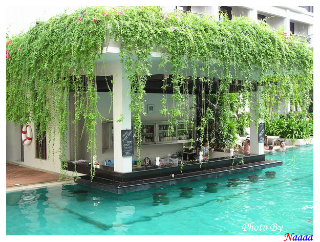 �� Pool Bar ����㹹�� ��ٻͧ����ͧ��������Ҥ���� �͹��觴������������������� ������ѡ�ѡ���ҧ ��µ�ͧ���Ը���������·���ش ��� ��觵������� �ú͡�ѹ�˹�� ���ѹ�������