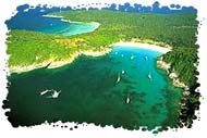 &nbsp;����������&nbsp;Speed boat �ҡ&nbsp;����&nbsp;
&nbsp;
08.00 �.&nbsp;&nbsp;&nbsp;&nbsp;&nbsp;&nbsp;&nbsp;&nbsp;&nbsp;&nbsp;&nbsp; �Ѻ�ҡ���ѡ�����
09.00 �.&nbsp;&nbsp;&nbsp;&nbsp;&nbsp;&nbsp;&nbsp;&nbsp;&nbsp;&nbsp;&nbsp; �����͡�ҡ�������&nbsp;���˹�����&nbsp;�������&nbsp;����&nbsp;����Ҫ�&nbsp;&nbsp;

09.30 �.&nbsp;&nbsp;&nbsp;&nbsp;&nbsp;&nbsp;&nbsp;&nbsp;&nbsp;&nbsp;&nbsp; ���Ͷ֧������� ���ǻе� �Ӽ�ǹ�� ���� �ѡ��͹����Ѹ�����
11.00 �.&nbsp;&nbsp;&nbsp;&nbsp;&nbsp;&nbsp;&nbsp;&nbsp;&nbsp;&nbsp; �����͡�Թ�ҧ��������� �ӷ�ҹ仴ӹ�� �����ʽ٧�����§��
&nbsp;&nbsp;&nbsp;&nbsp;&nbsp;&nbsp;&nbsp;&nbsp;&nbsp;&nbsp;&nbsp;&nbsp;&nbsp;&nbsp;&nbsp;&nbsp;&nbsp;&nbsp;&nbsp;&nbsp;&nbsp;&nbsp;&nbsp; ��ǡ��������Ѻ��ҹ
&nbsp;&nbsp;&nbsp;&nbsp;&nbsp;&nbsp;&nbsp;&nbsp;&nbsp;&nbsp;&nbsp;&nbsp;&nbsp;&nbsp;&nbsp;&nbsp;&nbsp;&nbsp;&nbsp;&nbsp;&nbsp;&nbsp;&nbsp; ��蹹��&nbsp;Snorkelling
11.45 �.&nbsp;&nbsp;&nbsp;&nbsp;&nbsp;&nbsp;&nbsp;&nbsp;&nbsp;&nbsp;&nbsp; �ӹ�� ������Ǥ͹� ���觻С��ѧ ����� �����á� ��� �٧�����§���� � ��Դ
12.30 �.&nbsp;&nbsp;&nbsp;&nbsp;&nbsp;&nbsp;&nbsp;&nbsp;&nbsp;&nbsp;&nbsp; ���͡�Ѻ�֧���ǻе�
&nbsp;&nbsp;&nbsp;&nbsp;&nbsp;&nbsp;&nbsp;&nbsp; &nbsp;&nbsp;&nbsp;&nbsp;&nbsp;&nbsp;&nbsp;&nbsp;&nbsp;&nbsp;&nbsp;&nbsp;&nbsp;&nbsp; �Ѻ��зҹ����á�ҧ�ѹ
&nbsp;&nbsp;&nbsp;&nbsp;&nbsp;&nbsp;&nbsp;&nbsp;&nbsp;&nbsp;&nbsp;&nbsp;&nbsp;&nbsp;&nbsp;&nbsp;&nbsp;&nbsp;&nbsp;&nbsp;&nbsp;&nbsp;&nbsp; ��ѧ�Ѻ��зҹ����� ����������ҹ���͹���� �ѡ��͹����Ѹ����� ������Ҵ
&nbsp;&nbsp;&nbsp;&nbsp;&nbsp;&nbsp;&nbsp;&nbsp;&nbsp;&nbsp;&nbsp;&nbsp;&nbsp;&nbsp;&nbsp;&nbsp;&nbsp;&nbsp;&nbsp;&nbsp;&nbsp;&nbsp;&nbsp; ������Ҵ
15.15 �.&nbsp;&nbsp;&nbsp;&nbsp;&nbsp;&nbsp;&nbsp;&nbsp;&nbsp;&nbsp;&nbsp; �����Թ�ҧ��Ѻ�ҡ�������
15.45 �.&nbsp;&nbsp;&nbsp;&nbsp;&nbsp;&nbsp;&nbsp;&nbsp;&nbsp;&nbsp;&nbsp; �֧�������&nbsp;
16.30 �.&nbsp;&nbsp;&nbsp;&nbsp;&nbsp;&nbsp;&nbsp;&nbsp;&nbsp;&nbsp;&nbsp; �ӷ�ҹ��Ѻ�֧�ç��������ʴ��Ҿ

&nbsp;
&nbsp;&nbsp;�Ҥ�੾�Ф���
&nbsp;����˭�&nbsp;&nbsp;&nbsp;��ҹ��&nbsp;&nbsp;1,000&nbsp;�ҷ&nbsp; ��&nbsp; ��ҹ��&nbsp;&nbsp;&nbsp;800&nbsp;�ҷ&nbsp;


Phuket Holiday Center Tour Co.,Ltd.
134/13 Moo1, T. Thepkrasattri, A.Thalang, Phuket 83110 THAILAND
Tel. 083-6323377 (Khun Phikul)
Fax 0-76311441
http://www.phuketcentertour.com&nbsp;
info@phuketcentertour.com
&nbsp;
"��һ�Сͺ��áԨ���͹حҵ������Ƕ١��ͧ����ջ�Сѹ�������١���
�������Ҫ�ѭ�ѵԻ�Сͺ��áԨ�����������Ѥ���ȡ� �.�.2551
��Ҵ��� ��û�Сѹ��¹ѡ��ͧ���������Ѻ��áԨ�����������Ѥ���ȡ�"

