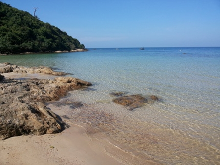 �����ç����ѹ�ҹ ������§����������� 

�ҡ���Թ���� ����Ҵ������� ���¤����դ����ç������Ҿ�ѹ��һ�зѺ�㹡�÷�ͧ����Ƿ�����������觹�����ҧ��͹ �����Ҩ��繡�����ҷ�ͧ����Ƿ������������������ ������&nbsp; ��·ӧҹ �����������¼���˭� &nbsp;&nbsp;&nbsp;�繤����ç�ӷ�����������Ѻ����������ͺ������ ����Ҩ��繤�ͺ���� �������͹ ���ͤ��ѡ

��������������ʹ��������͡�ѡɳ� �����Ҿ����ҡ�Ȣͧ�Ҵ���� ��ӷ����տ���� ����������Ž���� ���Ѻ����ͧ�Թ�ҧ�� ���������§ 2 ������� �ҡ��ا෾ ����������ä�º�ԡ�����·������ ��ʹ 24 �������&nbsp;&nbsp;&nbsp; ������������Ẻ������ ���ʻմ�� �ͧ�Ѻ���ҧ��§�͵�ͤ�����ͧ��ùѡ��ͧ����� ������Ѻ����ӹ�¤����ҡ��� �����ҹ����� �������е�ҧ�ҵ� ��ҹ�������Ҵ ��ҹ�õ� ��ҹ��¢ͧ�� ��СԨ������ҧ� �� �ӹ�� &nbsp;&nbsp;&nbsp;&nbsp;����֡ ����ʴ���������Ӥ׹&nbsp; ��� ��������ԡ����������������آ���ѡ��ͧ��������ҧ������

����������ͻշ������ ������紨�ⴹ�š�з��ҡ����ѹ���� ( Thailand oil spill ) ������÷�ͧ����Ǻ���������дش仺�ҧ &nbsp;&nbsp;&nbsp;��������� �������ʶҹ�����觤����آ �ʹ�����觡�þѡ��͹���ҧ���ԧ ������ö��ԡ�ԡĵ����͡�� ���¤��������ç����㨢ͧ������� ��ШѺ��͡Ѻ�ء�Ҥ��ǹ��鹿�������� ����ѹ��� �ء��µ����Шѡ�������������������� ��ʹ��� �����ǧ �ѹ������紾�������Ƿ��С�Ѻ���������آ������ҧ�����ç�ӷ��աѺ��÷�ͧ����Ǵ���ѹ�ҹ ���Ǥس��о���������ѧ���С�Ѻ�����ҧ�����ç�ӡѺ����Ҵ��觹��....����������ѹ��������ѹ�˹���س�������͹������� �����آ���ͤس��������..
