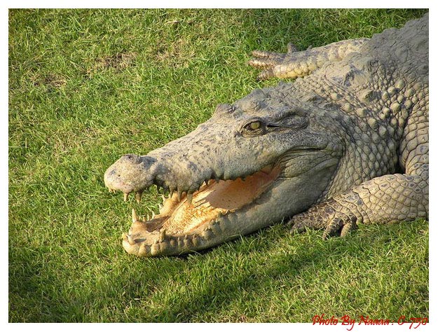 �������һҡ�͡Թ����赡ŧ�