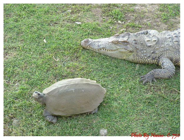 �Ѻ���������觡Ѻ������èЪ��
���ԧ� ������ҡѺ���������㹺�����ǡѹ