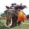���. ���ԭ��������� �� �բ��������׺�ҹ�ҹ�ح���ླ� ��Ǫ�Ҥ��ҧ� �������˭�ͧ�ѧ��Ѵ���Թ���