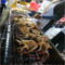 ���ԭ�����ҹ Thailand Seafood Hub �ˡ������ͧ����÷�������Թ��Ҹ�����Ҥһ����Ѵ