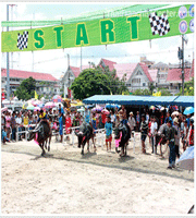 ���ླ���觤��� Buffalo Racing 2013