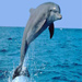 �ȡ�Ū����ҷ���Ң���