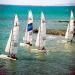 Samui Regatta