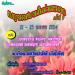 ອ���Ⱥҹ ���ҹ��͡