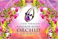 Bangkok Royal Orchid Paradise