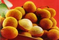 �ȡ�����¼�������Ȩ�������ͧ�Ӿٹ