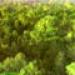 �ٹ���Ԩ������֡�Ҹ����ҵԻ�Ҿ�����Թ�� ���� ��Ҿ�����ᴧ  : ��Ҹ����
