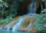 �ط�ҹ��觪ҵ��٫ҧ : 