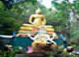 �ӹѡʧ���ӵ������� : 
