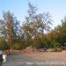 ����ʹ��͹  : 