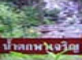 �ط�ҹ��觪ҵԹ�ӵ�����ԭ : 