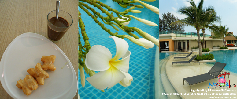 �ա˹�������ʹ���ͧ����Թ ���������������ҡ�纤�����зѺ������ǹҹ Springfield@Sea Resort & Spa