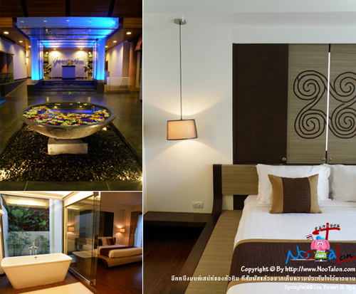 �ա˹�������ʹ���ͧ����Թ ���������������ҡ�纤�����зѺ������ǹҹ Springfield@Sea Resort & Spa